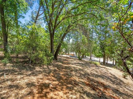 2901 Hermosa Ct, Camino, CA 95709 Photo