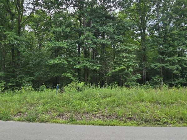 Lot 48-49 Bear Creek Rd, Winfield, TN 37892