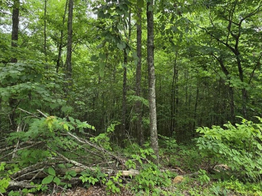 Property Image 10