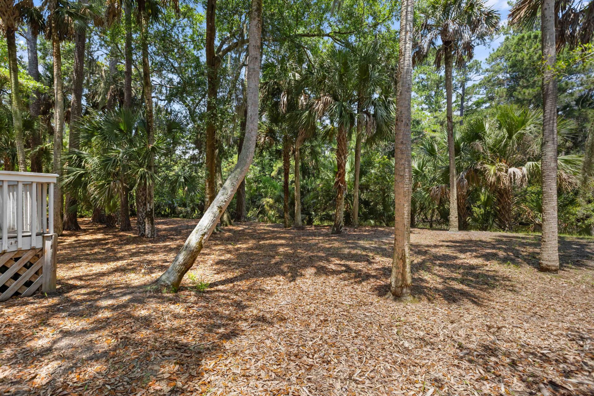 3202 Wood Duck Place Photo 40
