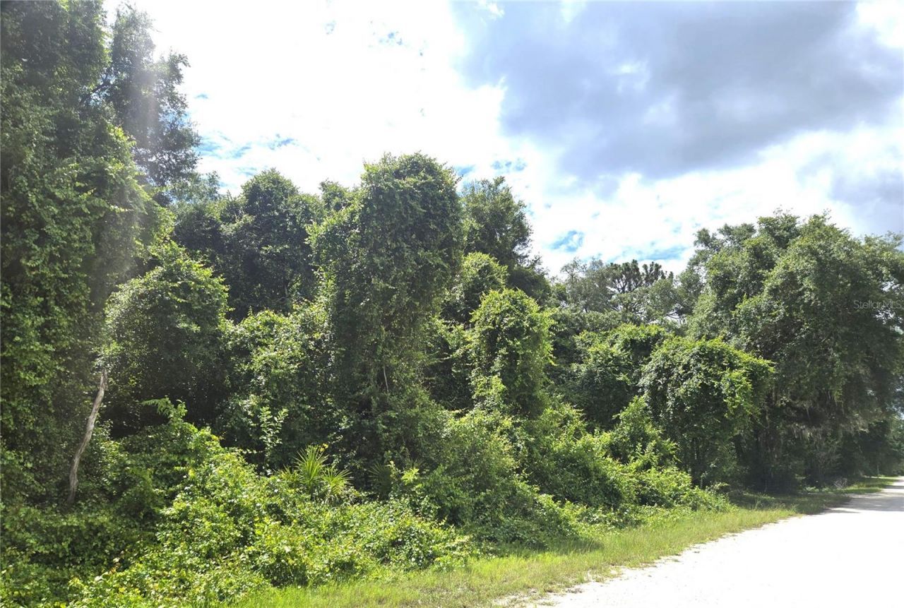 Alloy Street , Webster, FL 33597 Photo