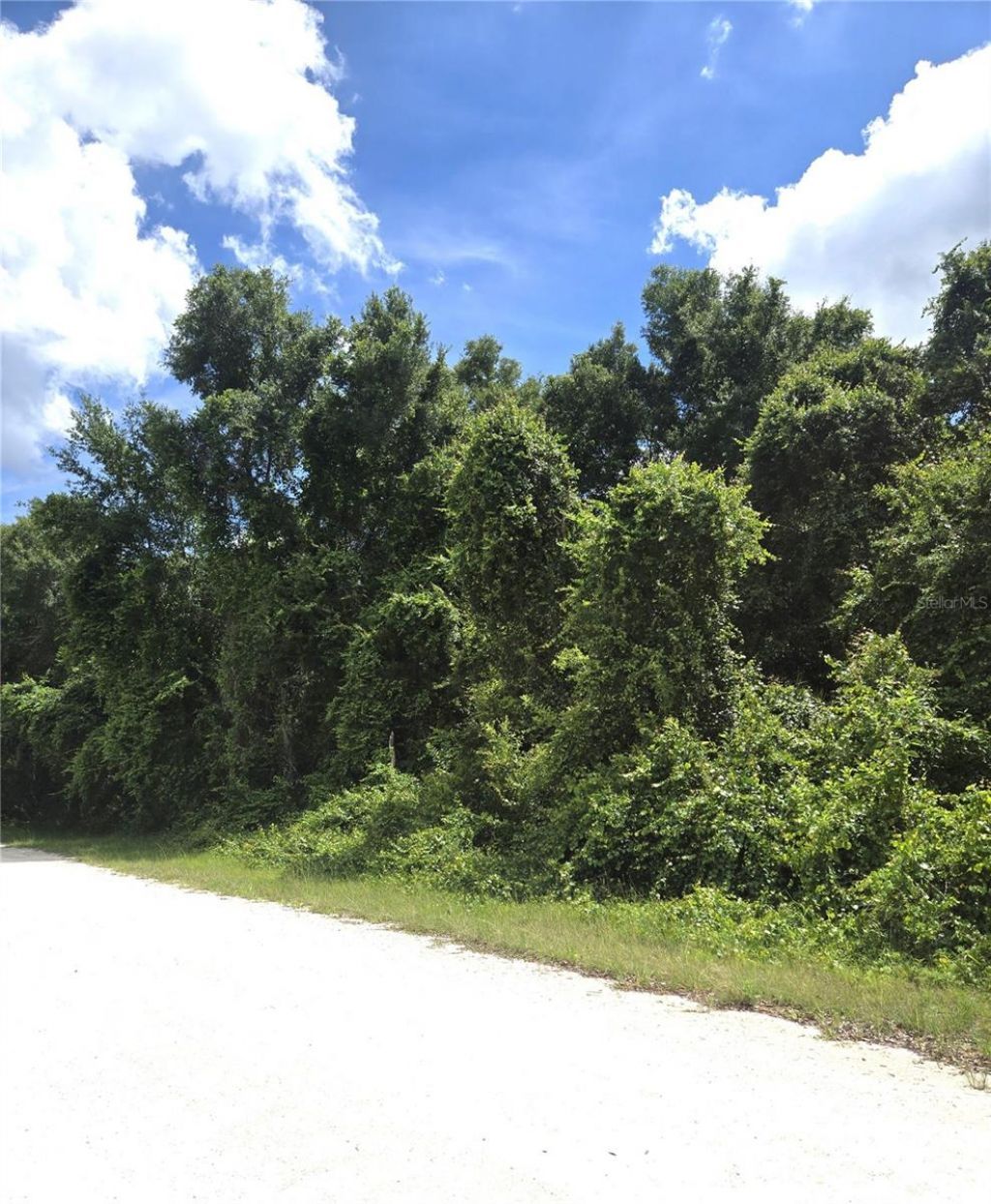 Alloy Street , Webster, FL 33597 Photo