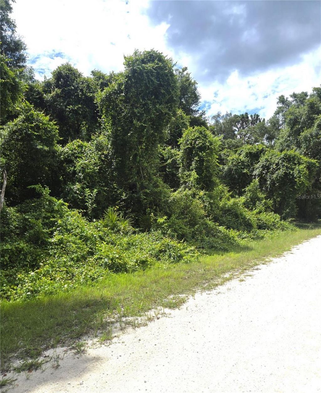 Alloy Street , Webster, FL 33597 Photo