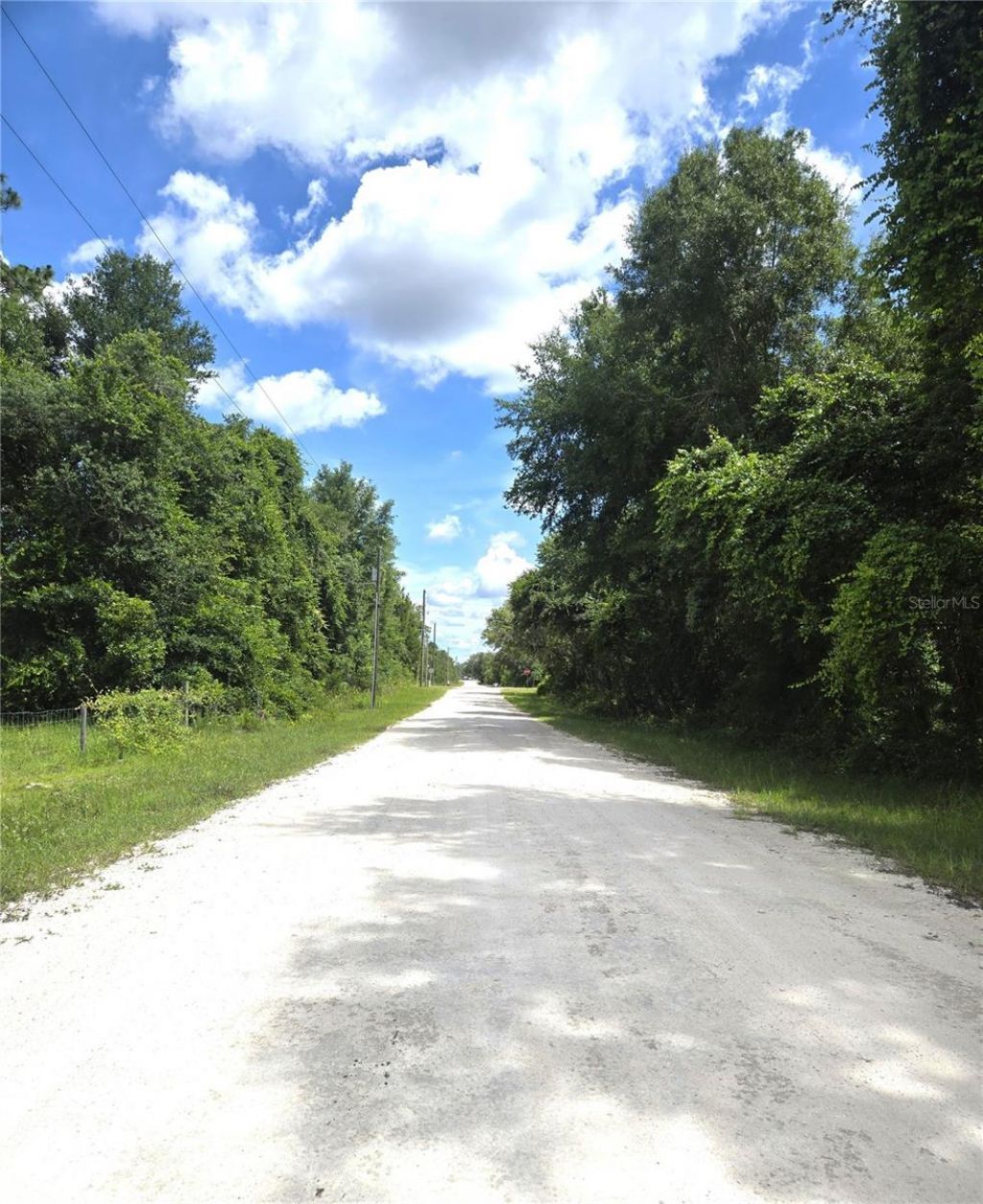 Alloy Street , Webster, FL 33597 Photo