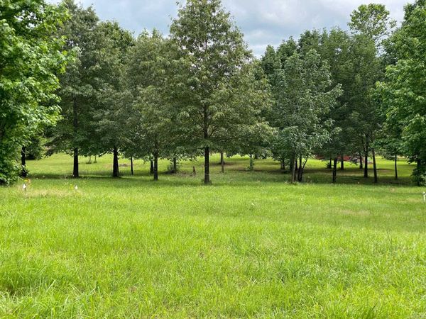 Ridge CR , Quitman, AR 72131
