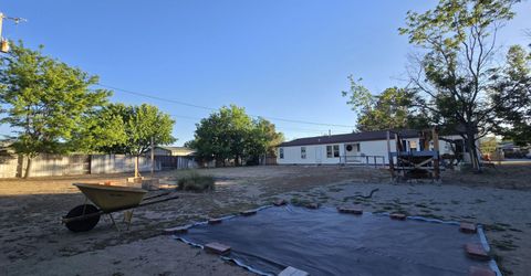 3900 Puffin Street, Reno, NV 89508 Photo