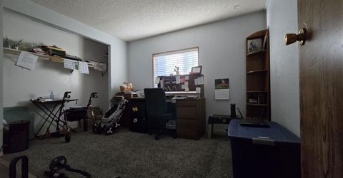 3900 Puffin Street, Reno, NV 89508 Photo