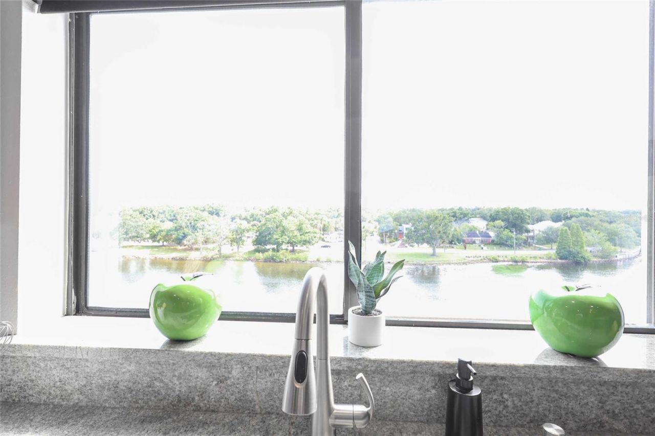 2780 N Riverside Drive , Unit 502, Tampa, FL 33602 Photo