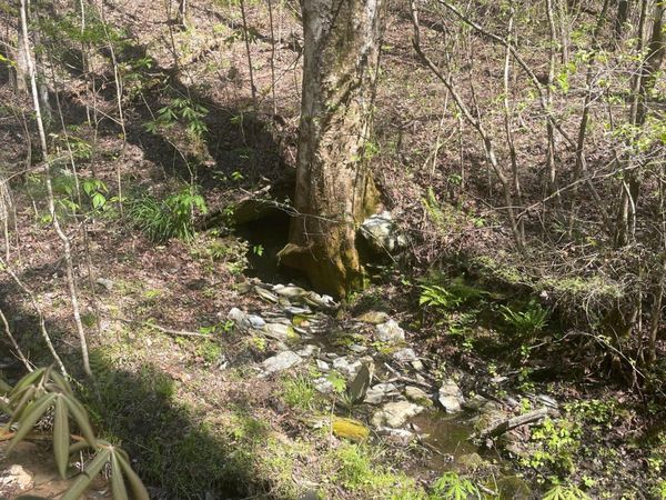 1 Old Furnace Road, Unit 1, Tellico Plains, TN 37385