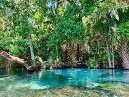 547 W Homeway Loop , Dunnellon, FL 34434 Photo