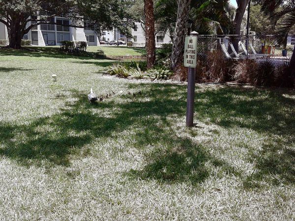 9420 Poinciana Place, Unit 409, Davie, FL 33324