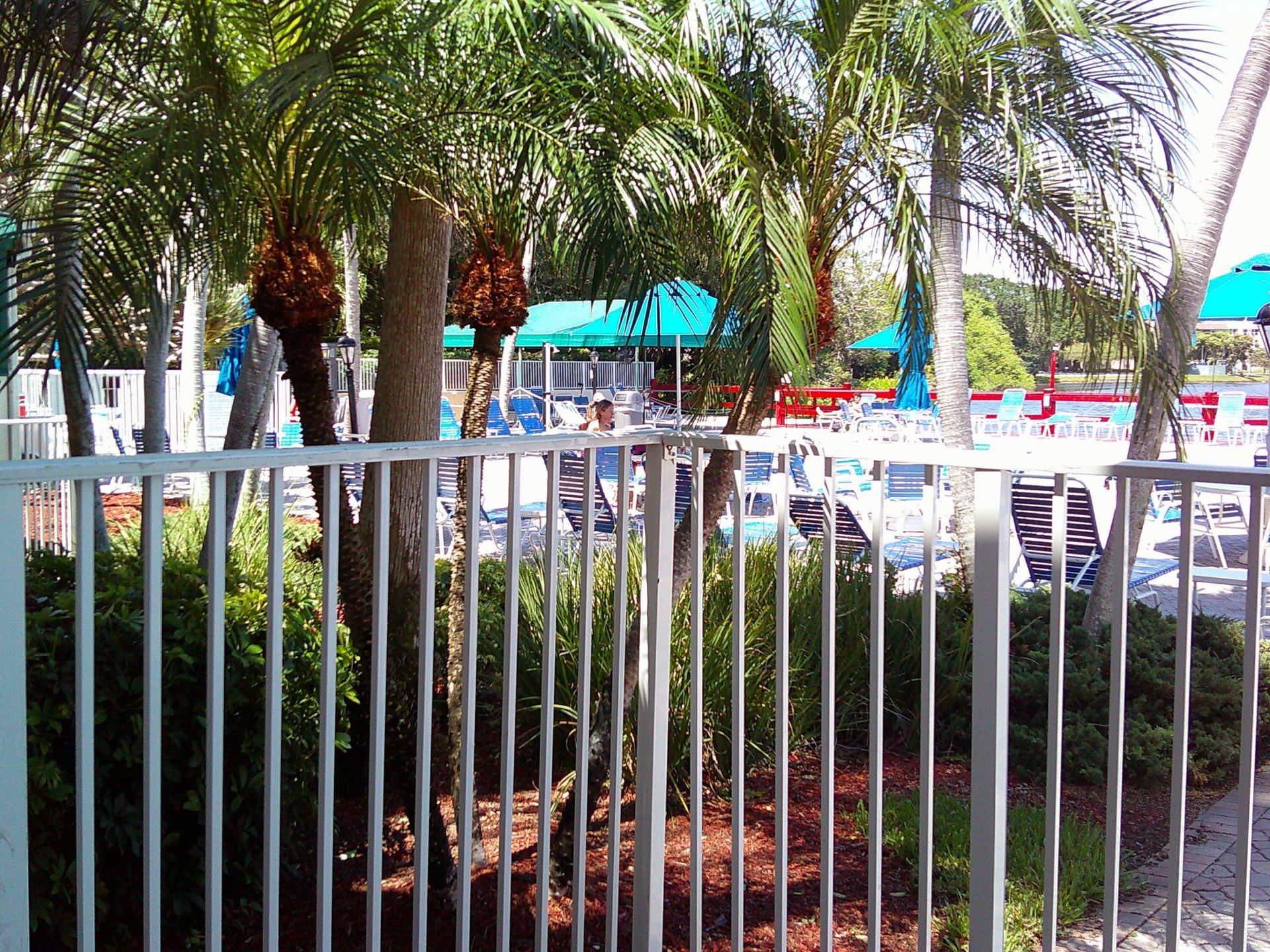 9420 Poinciana Place, Unit 409, Davie, FL 33324 Photo