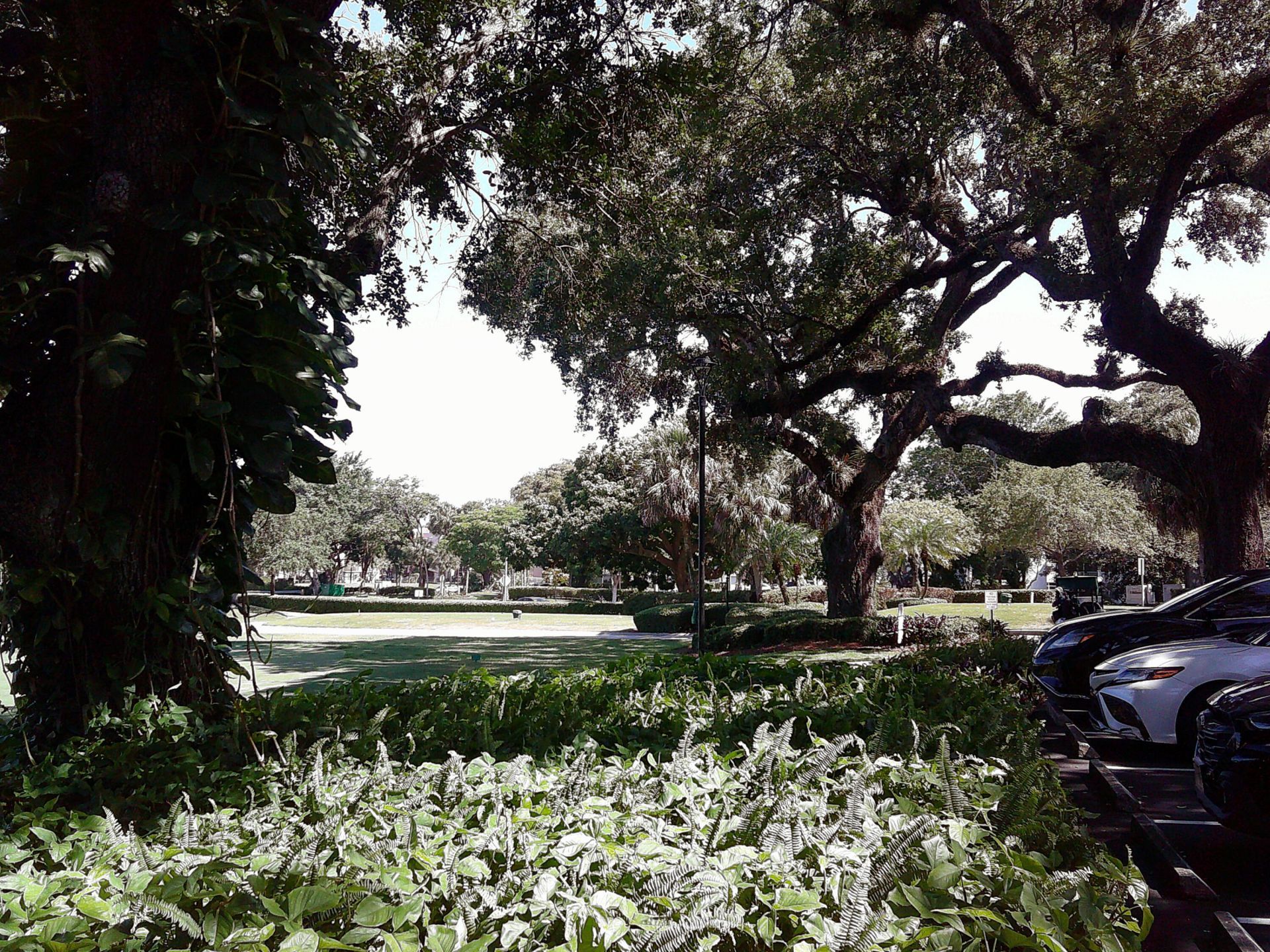 9420 Poinciana Place, Unit 409, Davie, FL 33324 Photo