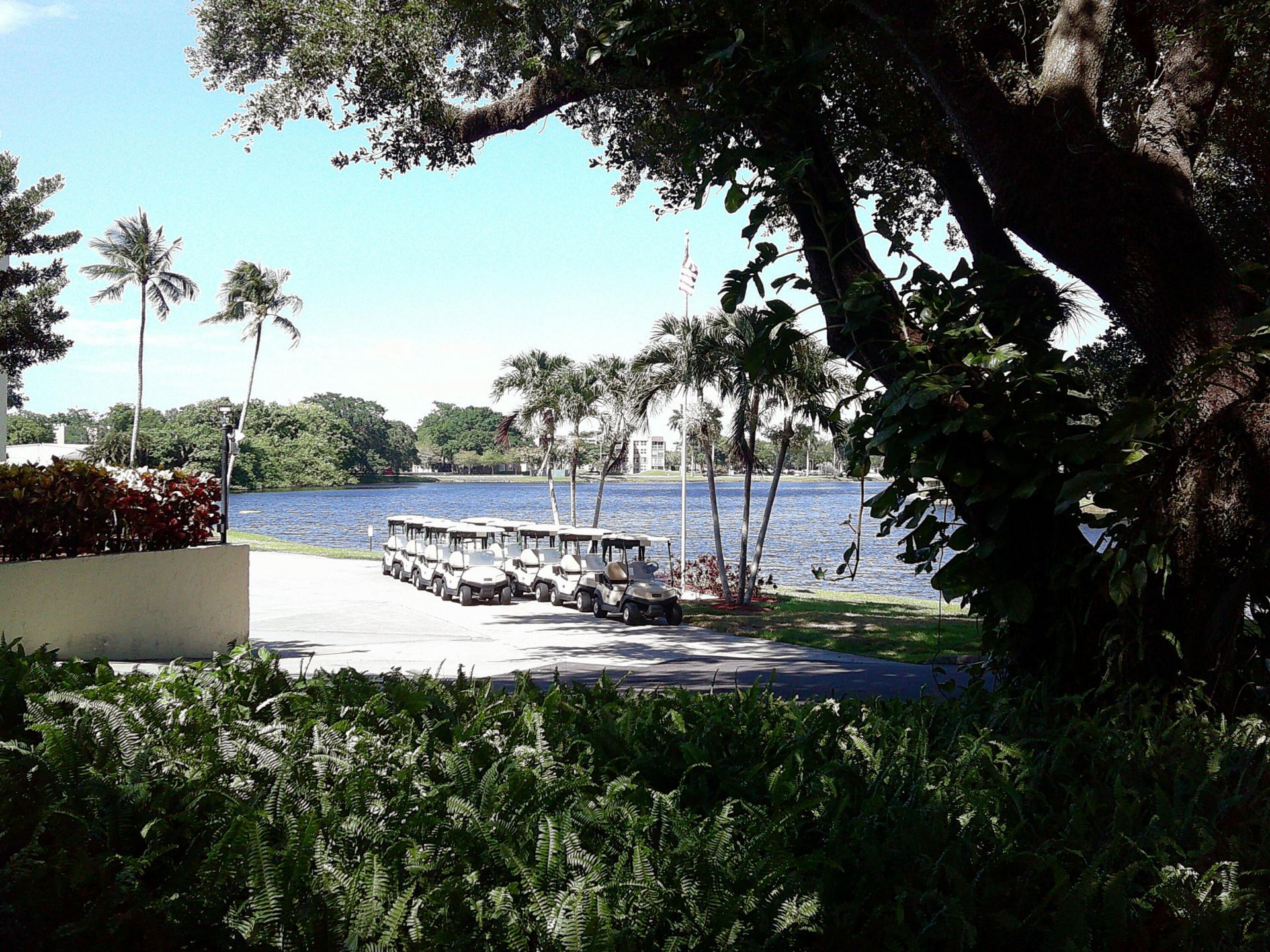 9420 Poinciana Place, Unit 409, Davie, FL 33324 Photo