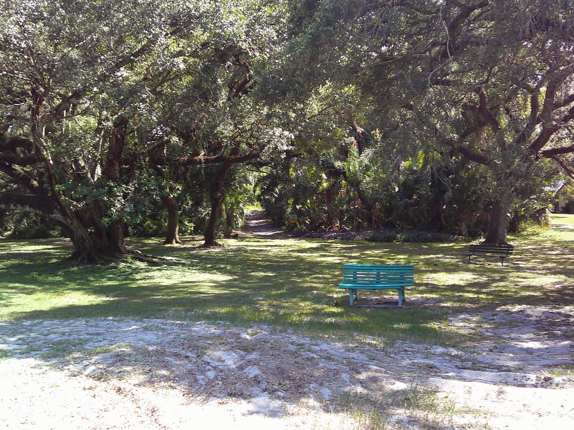 9420 Poinciana Place, Unit 409, Davie, FL 33324 Photo