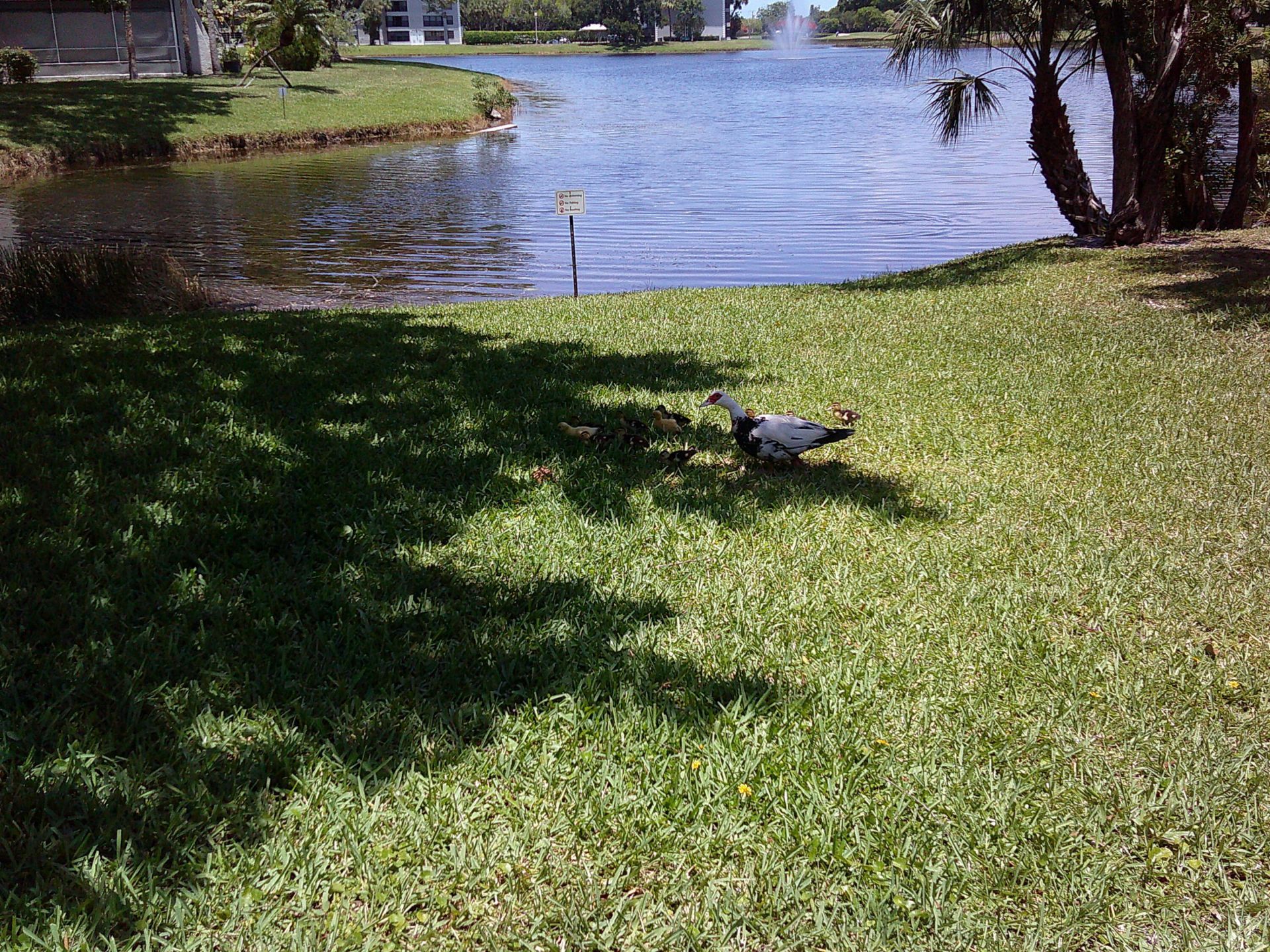 9420 Poinciana Place, Unit 409, Davie, FL 33324 Photo