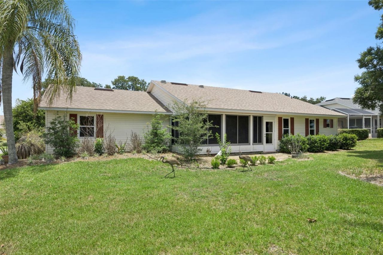 6416 Borg Street , Leesburg, FL 34748 Photo