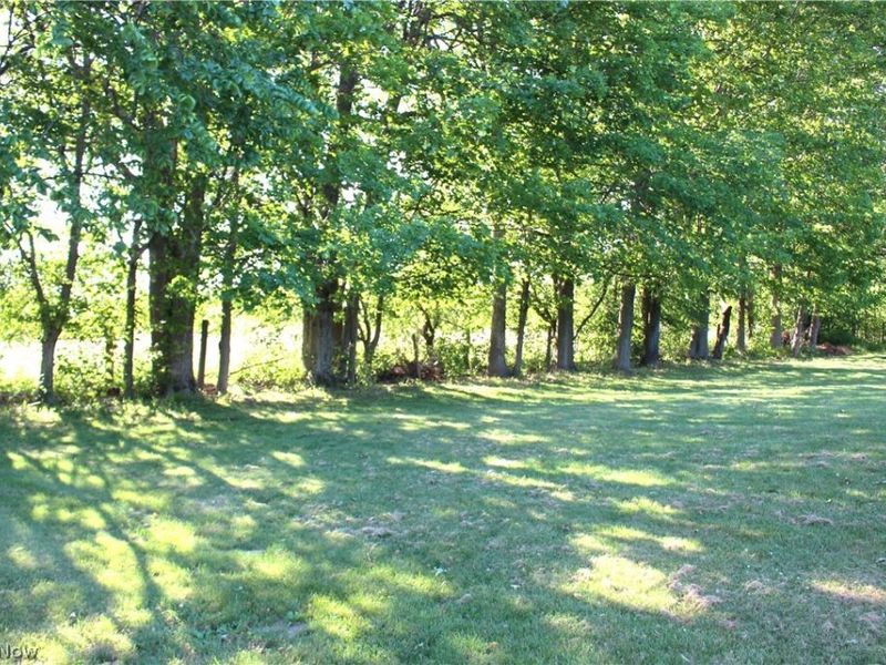 1508 Brookpark Drive , Mansfield, OH 44906 Photo 8