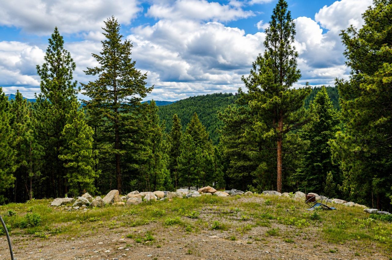 2025 Haywire Gulch , Kalispell, MT 59901 Main Photo