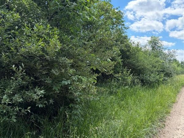 00 Murphy Lake , Rich Twp, MI 48760