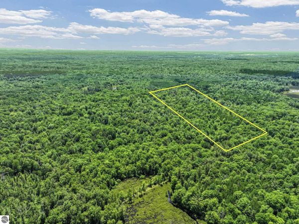 Seeley Road, Lake City, MI 49651