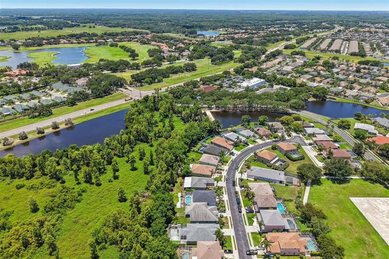 1628 Crossvine Court , Trinity, FL 34655 Photo