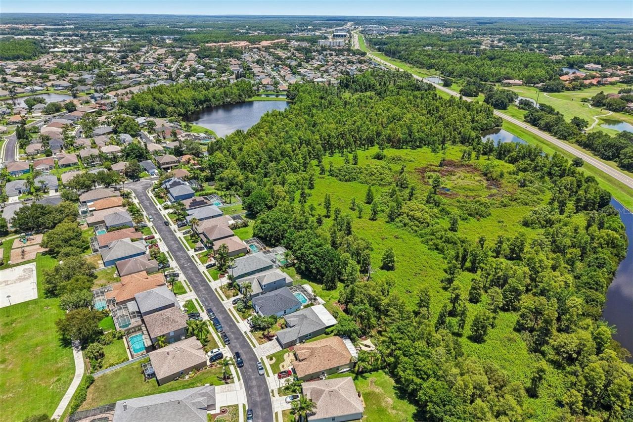 1628 Crossvine Court , Trinity, FL 34655 Photo