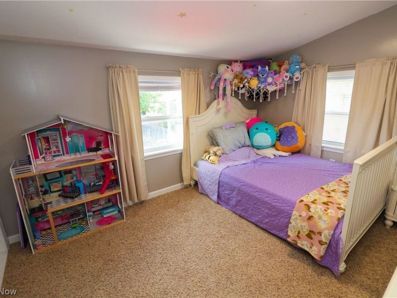 204 House Court, Fairport Harbor, OH 44077 Photo 22