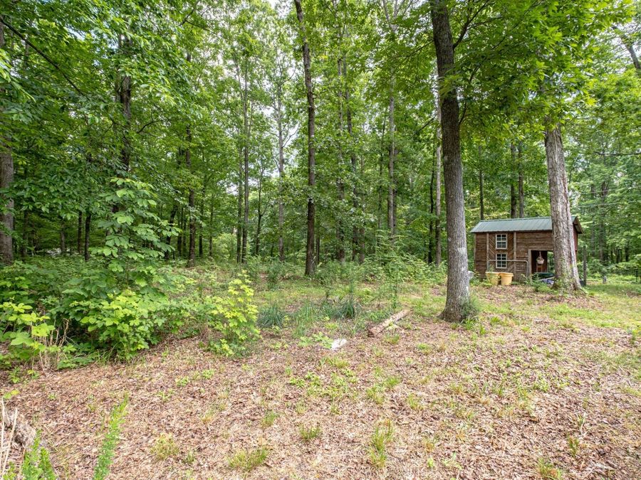 Property Image 42