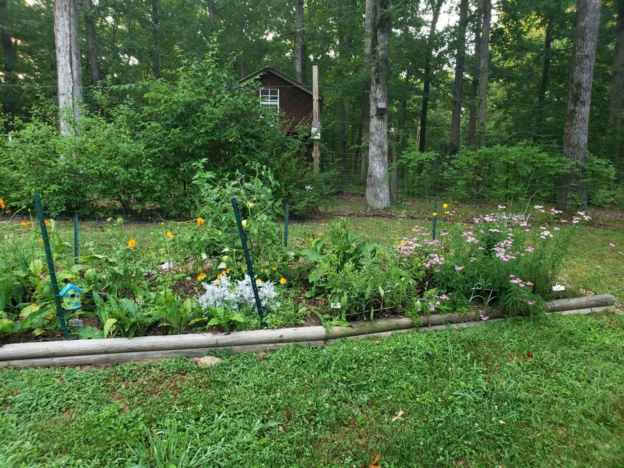Property Image 45