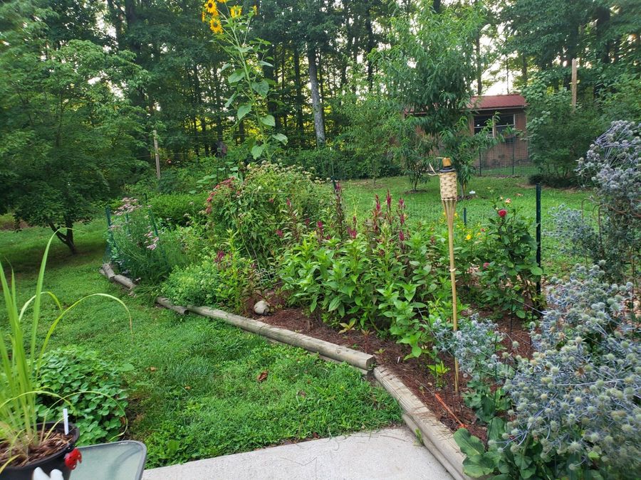 Property Image 46