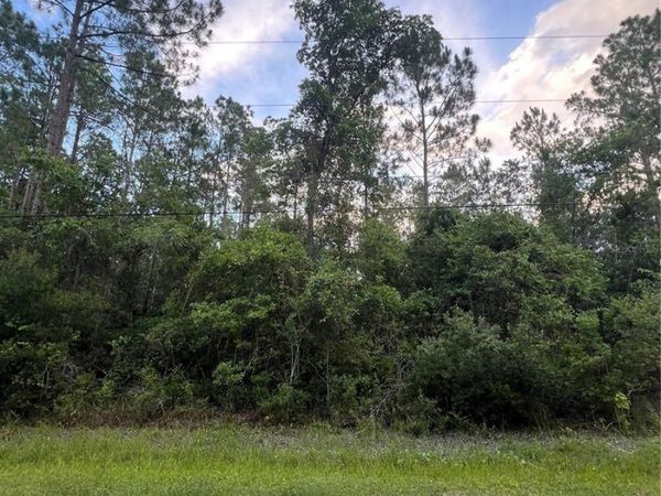 1411 ELDER STREET , BUNNELL, FL 32110