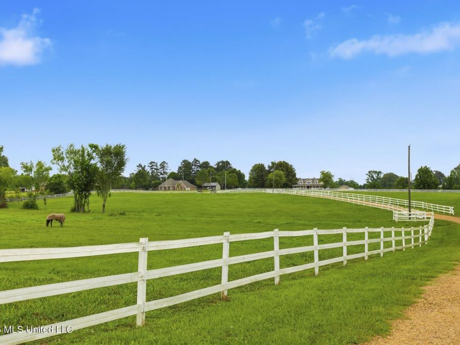 Property Image 101