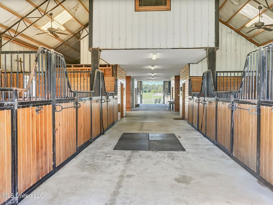 Property Image 51