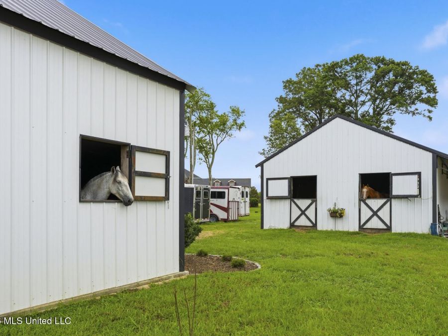 Property Image 81
