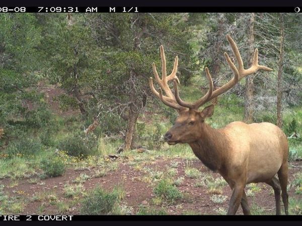 Spanish Peaks Dr, Aguilar, CO 81020