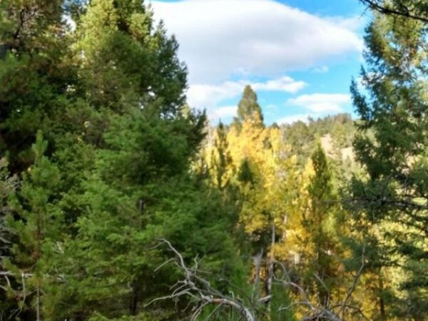 NHN Hoover Creek Road , Helmville, MT 59843