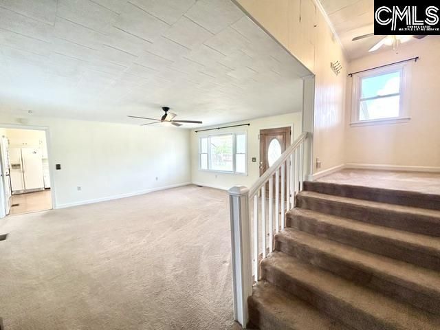 2727 College Street Photo 11