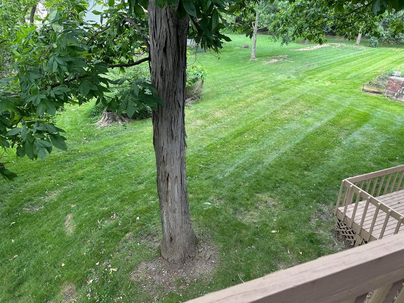 8314 BRECKENRIDGE Way, Columbus, OH 43235 Photo 80
