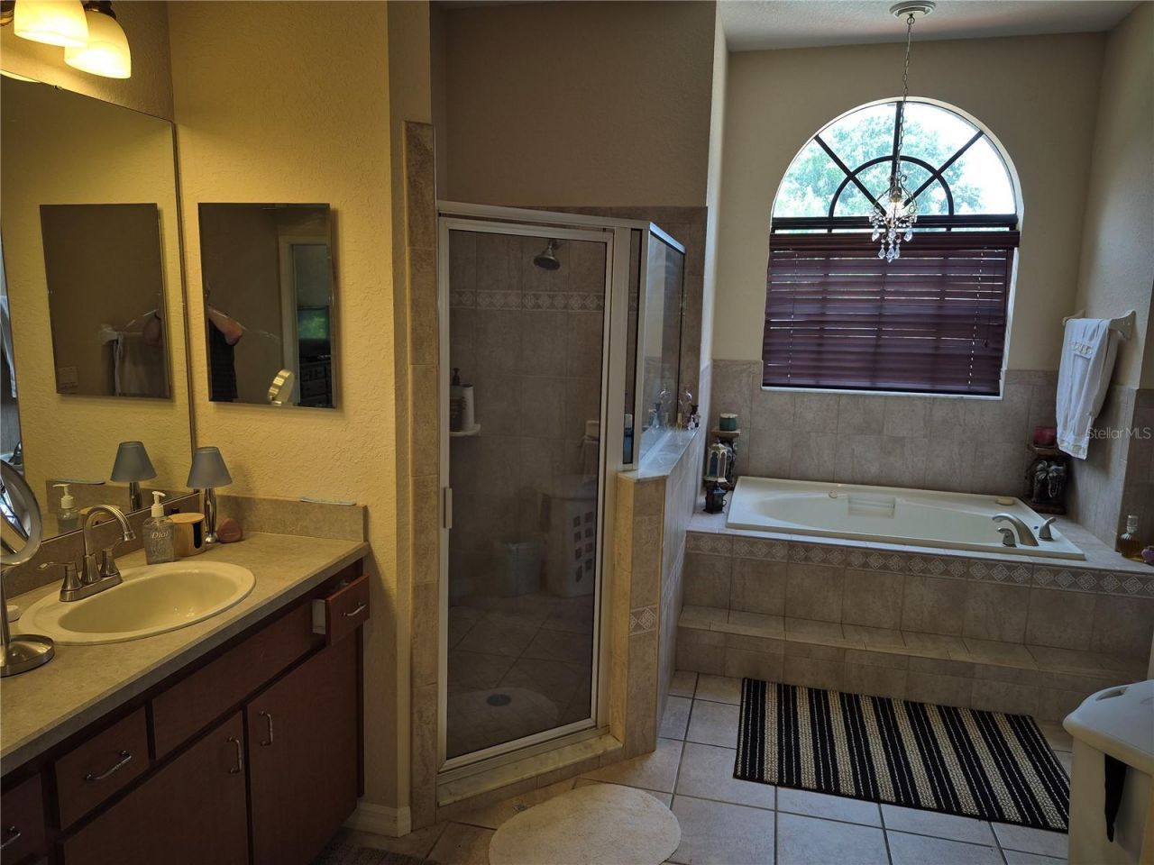 1224 Carriage Park Drive, Valrico, FL 33594 Photo