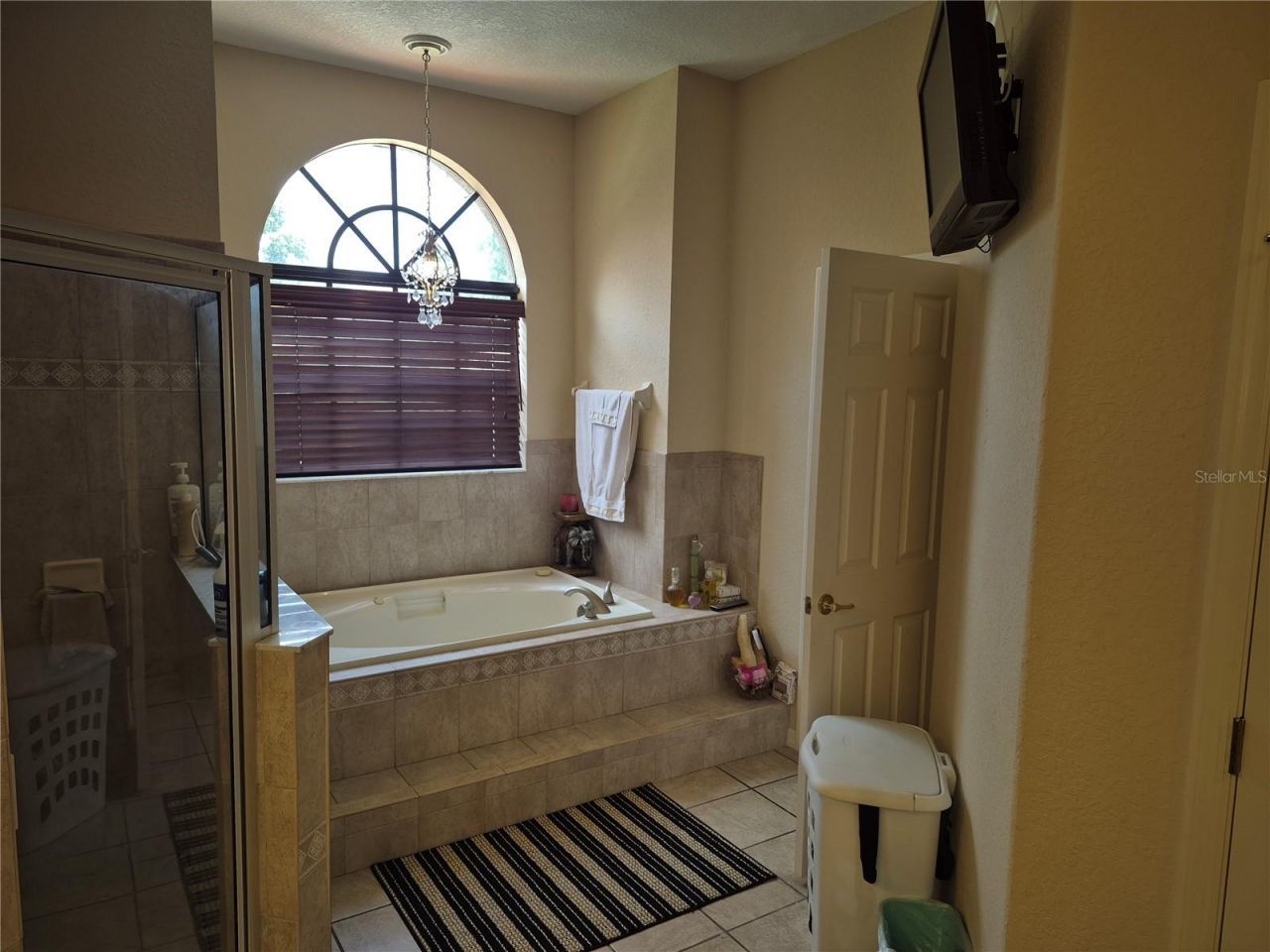 1224 Carriage Park Drive, Valrico, FL 33594 Photo