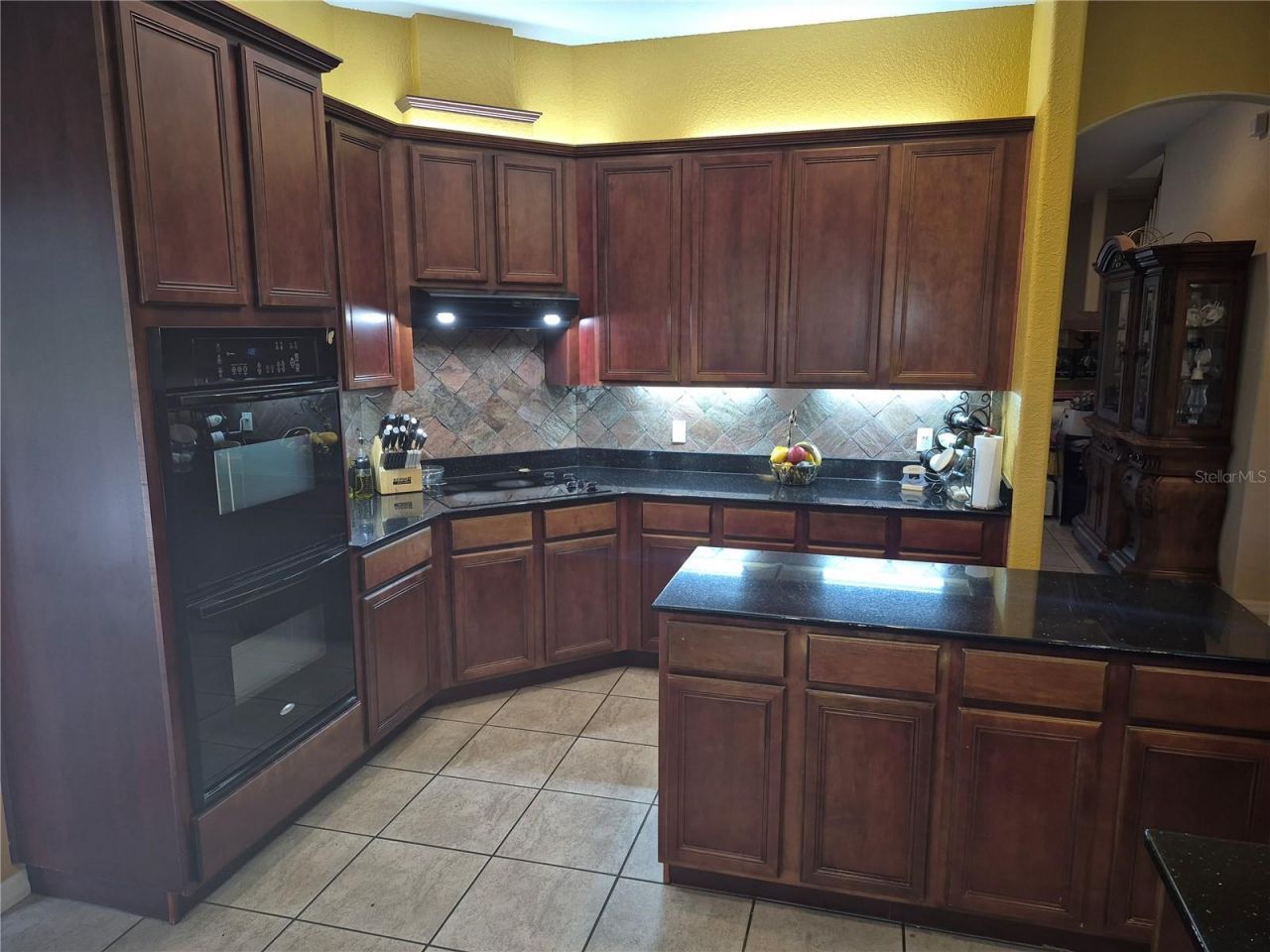 1224 Carriage Park Drive, Valrico, FL 33594 Photo