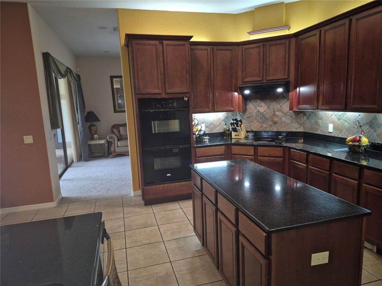 1224 Carriage Park Drive, Valrico, FL 33594 Photo