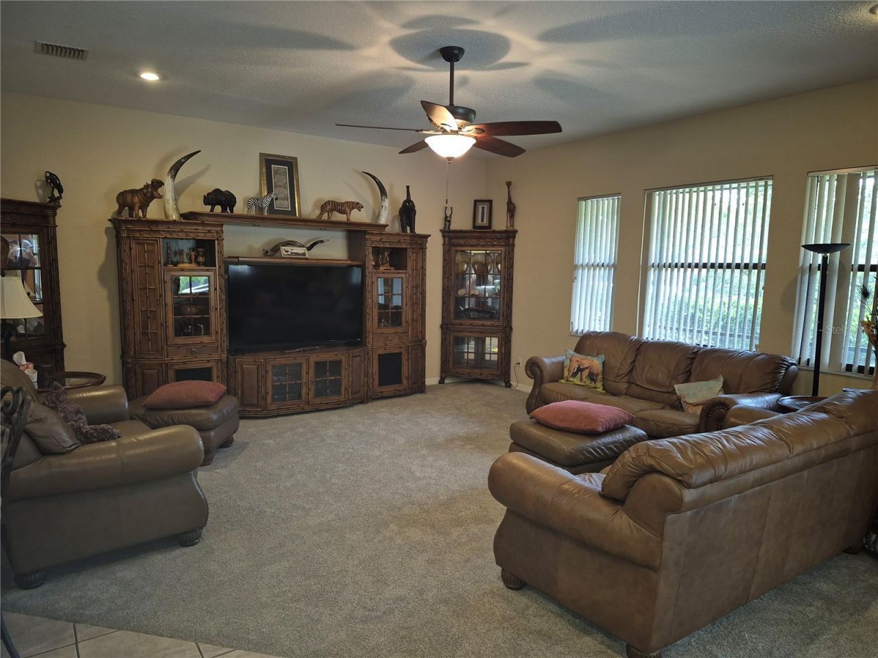 1224 Carriage Park Drive, Valrico, FL 33594 Photo