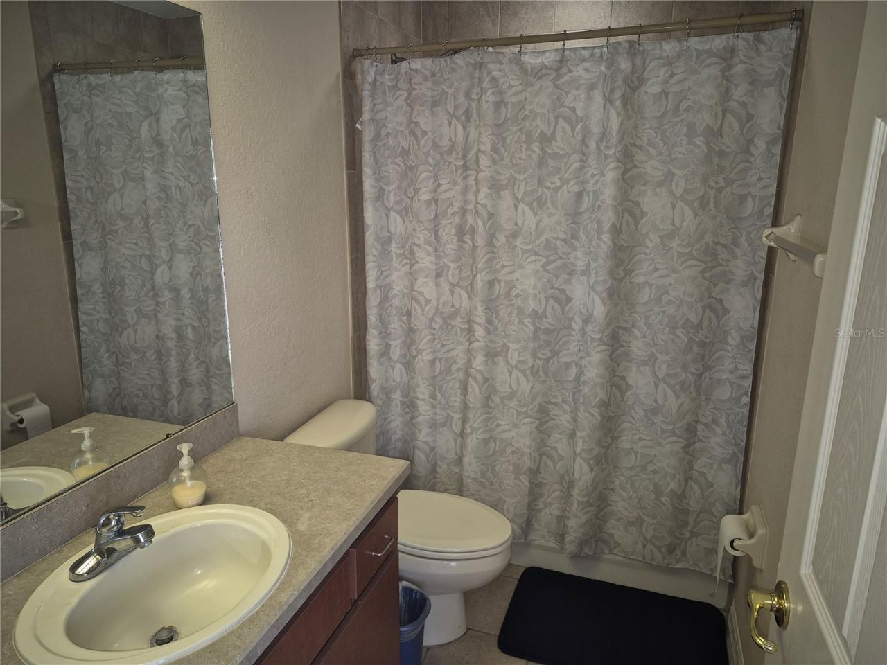 1224 Carriage Park Drive, Valrico, FL 33594 Photo