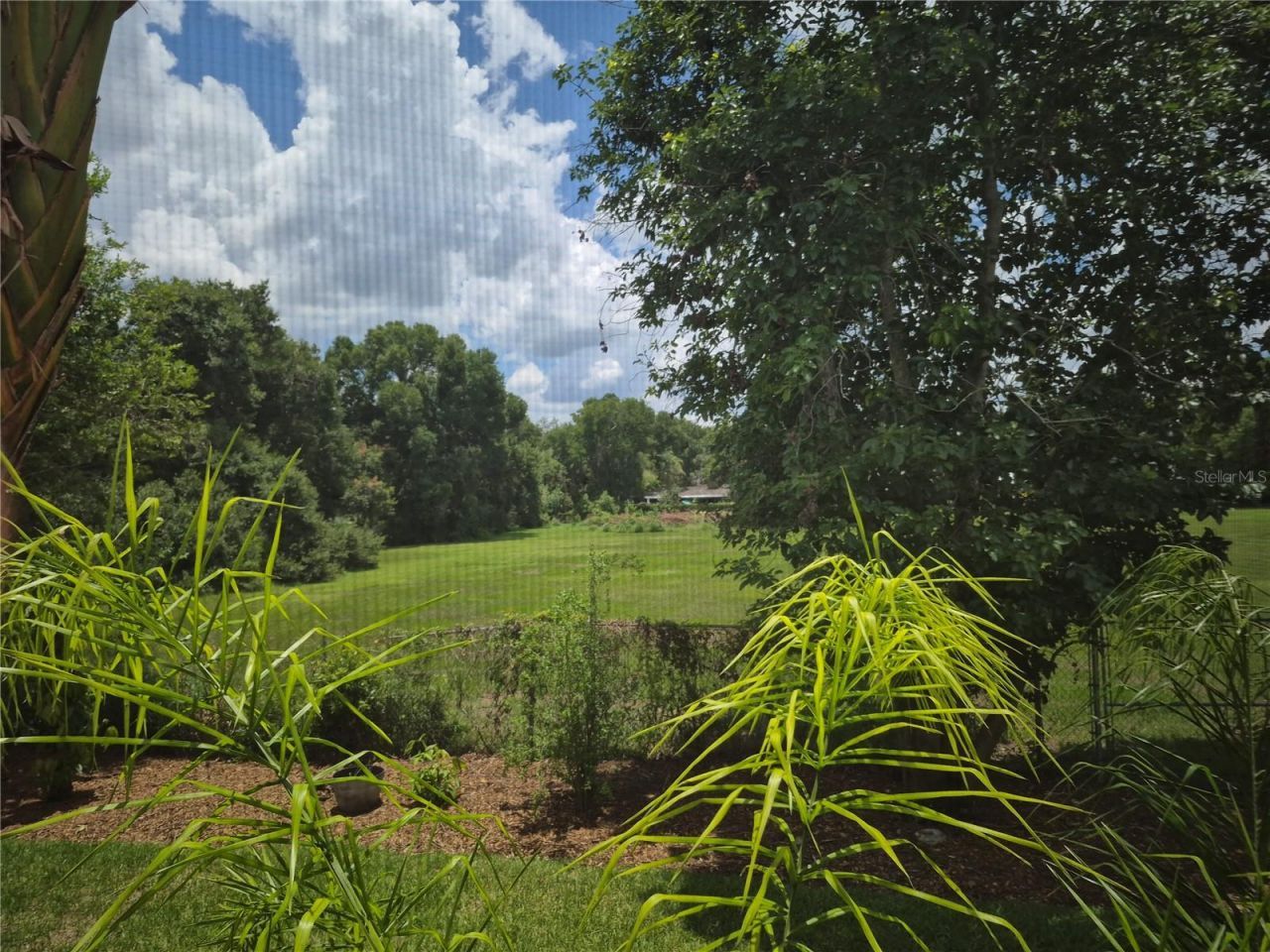 1224 Carriage Park Drive, Valrico, FL 33594 Photo