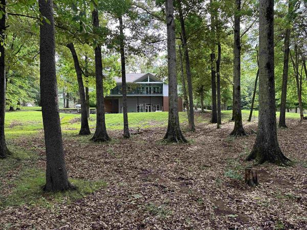 133 Cove Point Rd, Spruce Pine, AL 35585
