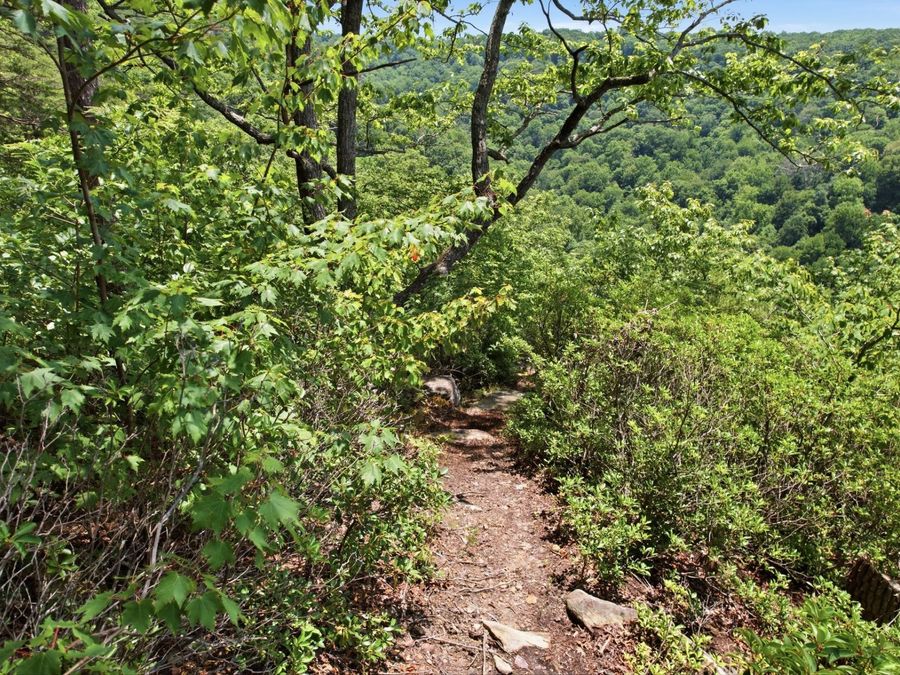 Property Image 18