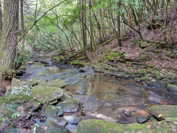 308 Timberwood Trc , Unit 308, Monteagle, TN 37356