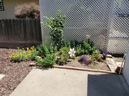 3824 Maui Terrace, Modesto, CA 95355 Photo